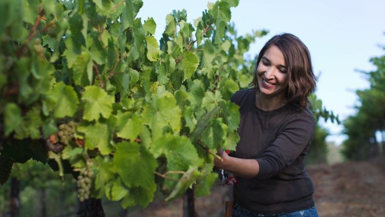 Faith Armstrong Foster examining grapes