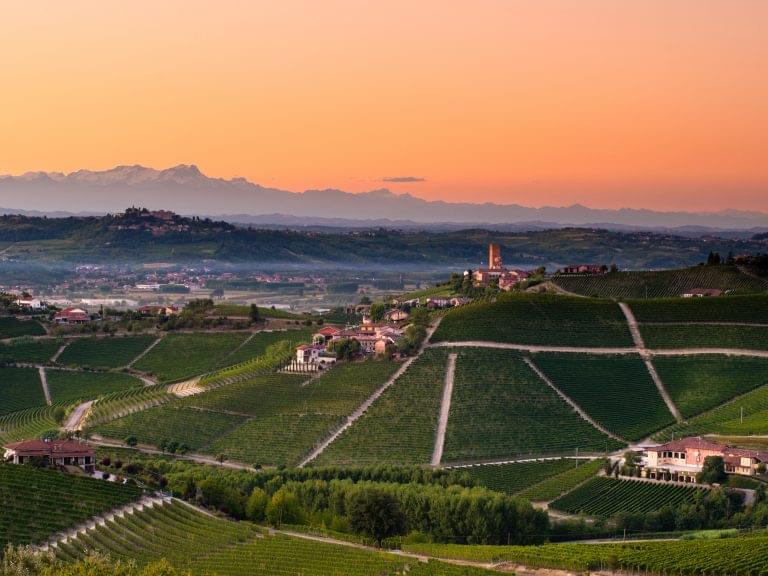 Landscape of a vineyard in Piedmont Italy