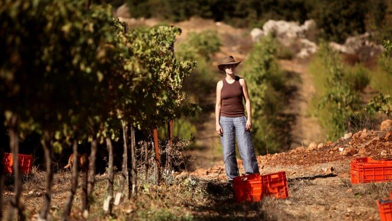 Winemaker Roni Saslove in a vineyard