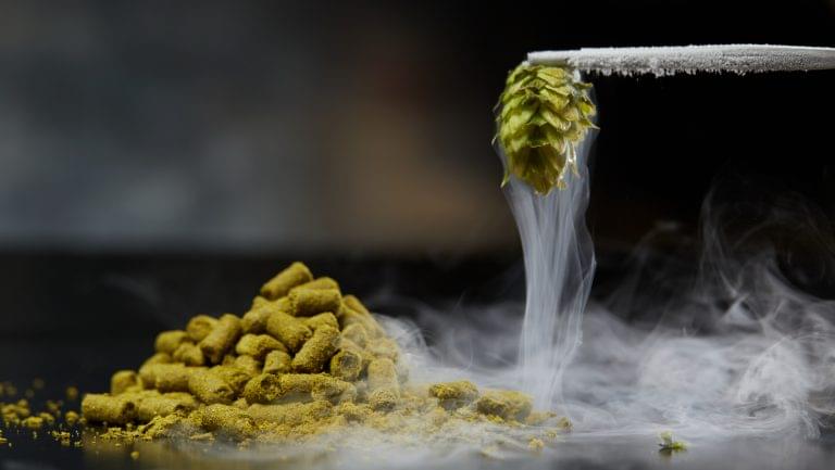 cryogenically frozen hops