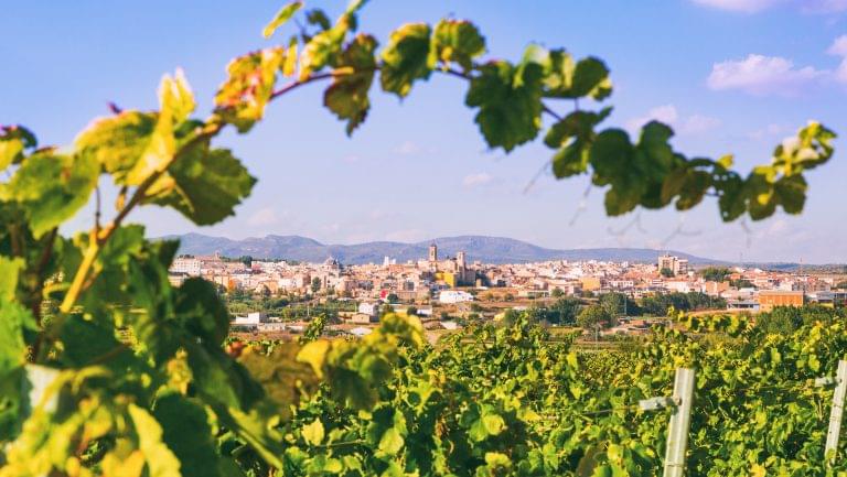 view of Valencia, Spain