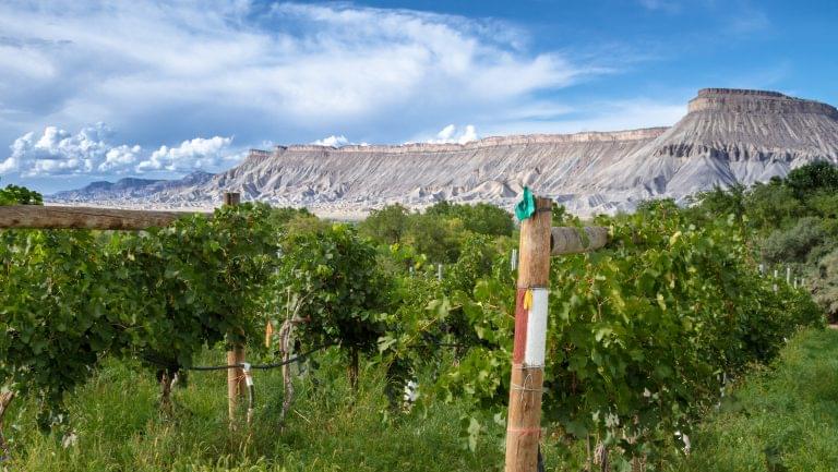 Grand Valley Colorado