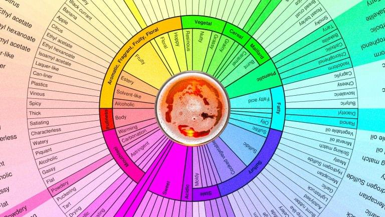 Beer Flavor Wheel