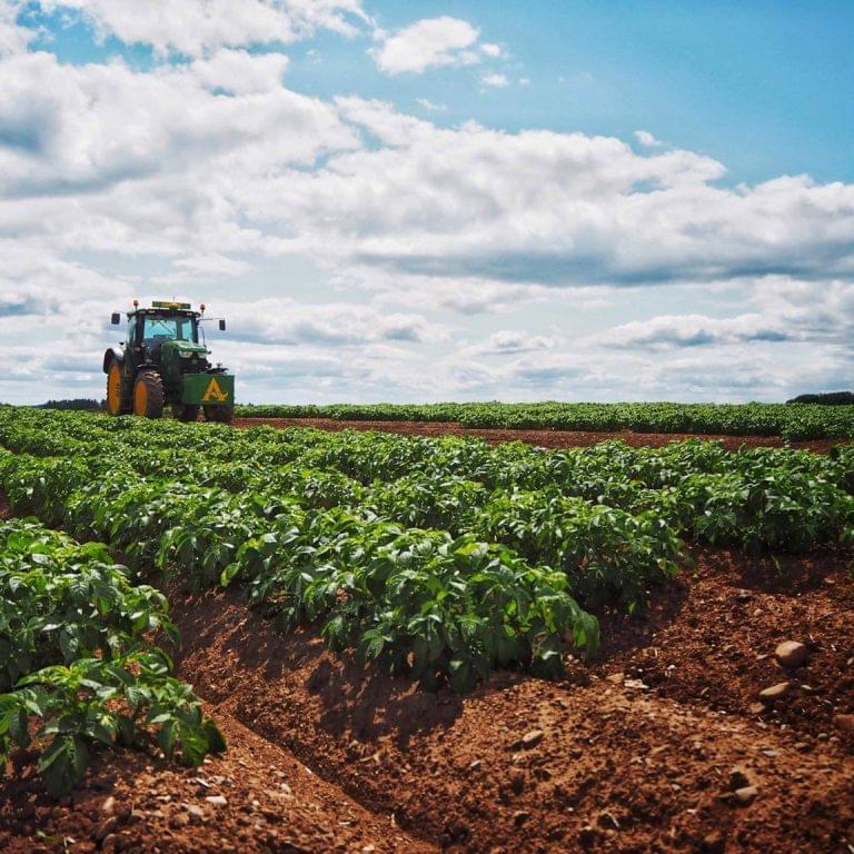 A wide shot of one of the farms at Arbikie Distillery