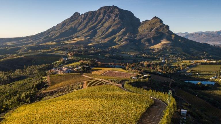 A wide shot of a lush South African landscape