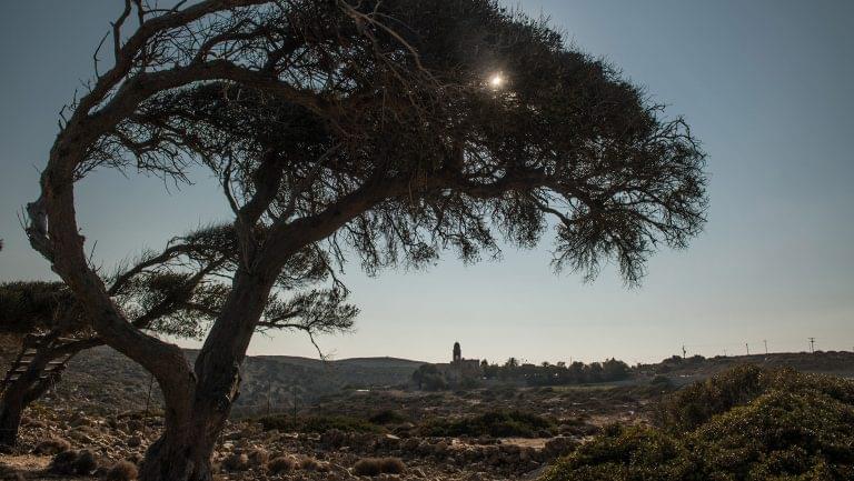 The sun rises over Crete, partially obscured by a tree in the foreground