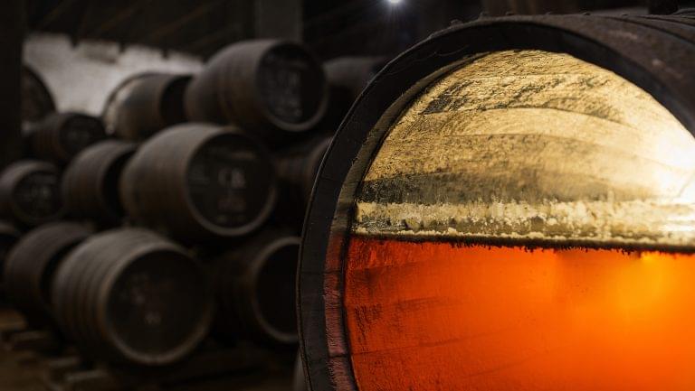 View from inside a wine barrel