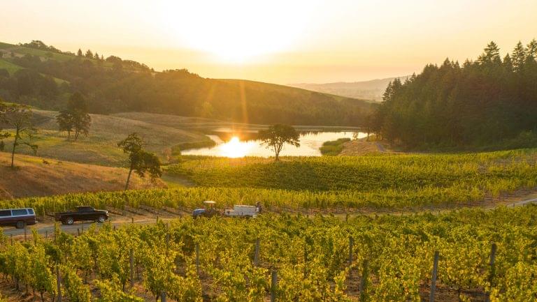 A landscape photo of vineyards in Oregon