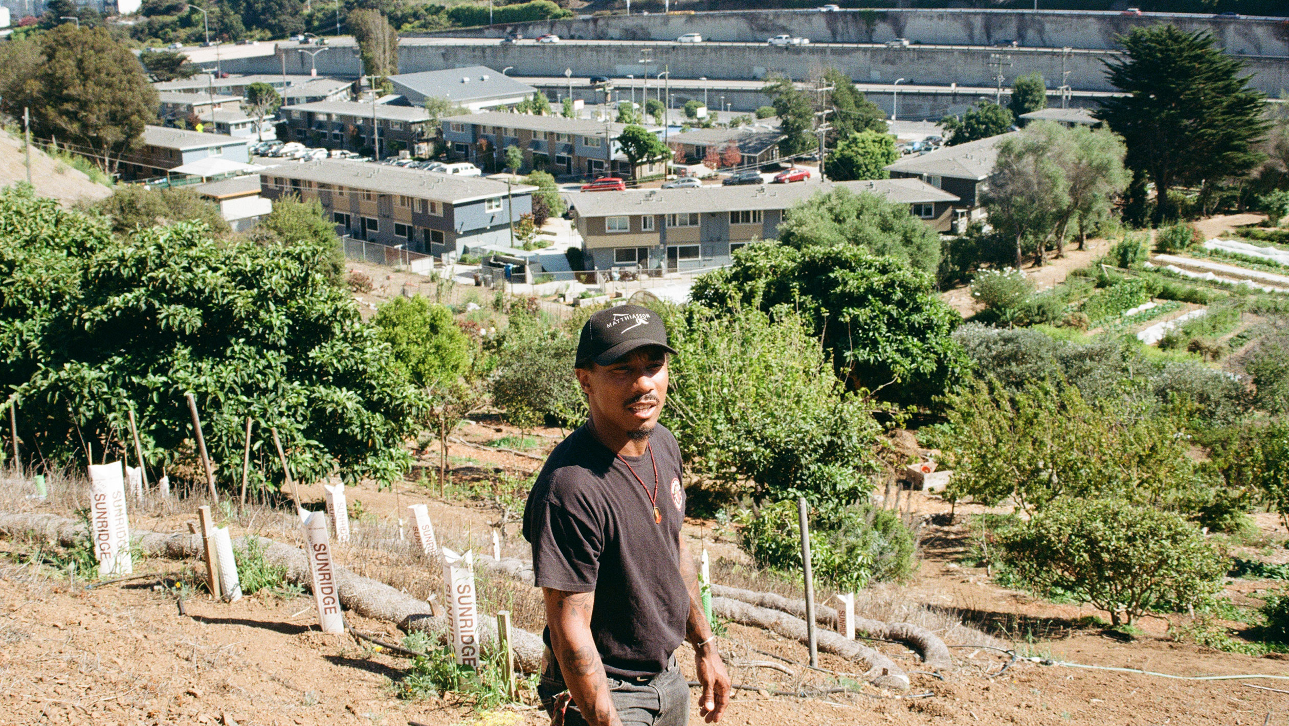 Christopher Renfro poses in a vineyard