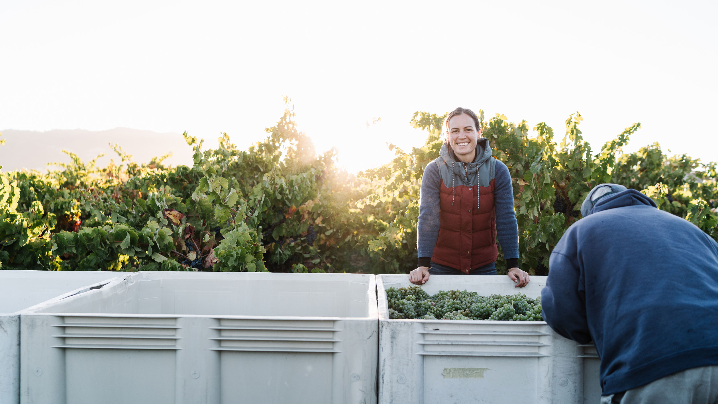 Martha Stoumen poses in the vineyards as grapes are being harvested